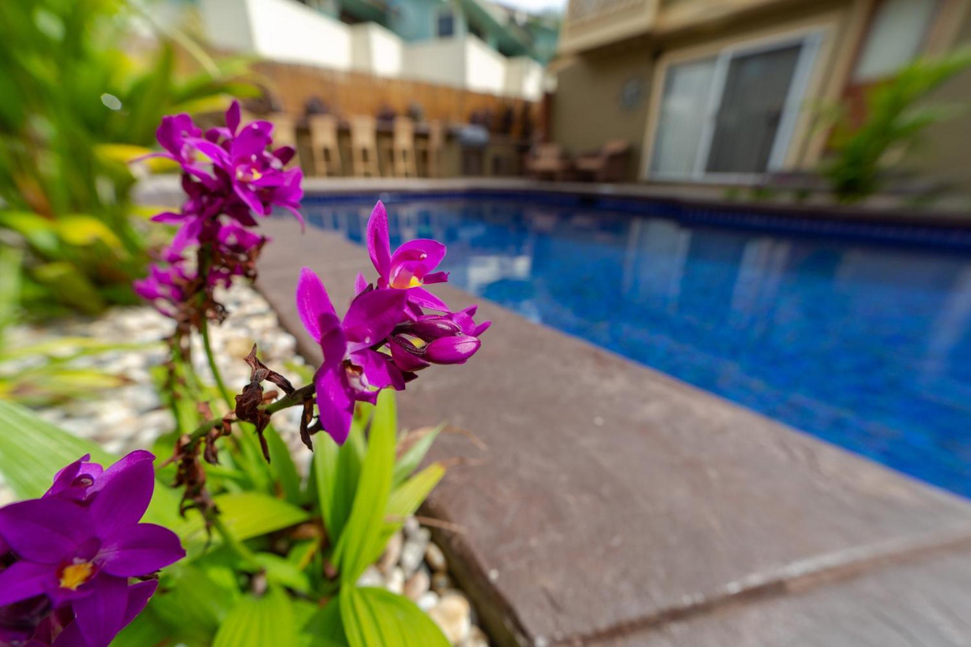 Plumeria Suite, 2-Bedrooms, Sleeps 6, Pool & Bbq, Pre-Renovation Summer Sale คิเฮอิ ภายนอก รูปภาพ